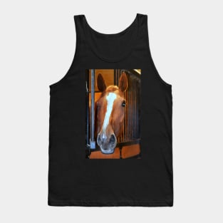 beautiful thoroughbred... Tank Top